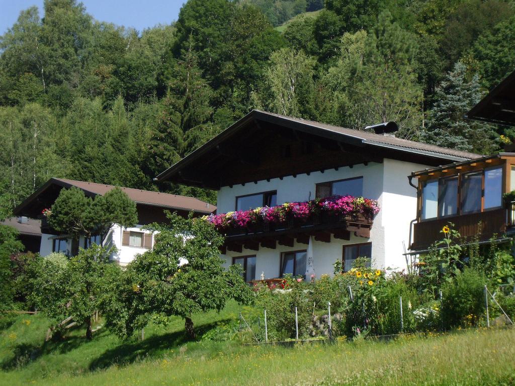 Appartement Schernthaner à Taxenbach Extérieur photo